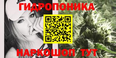 ПСИЛОЦИБИНОВЫЕ ГРИБЫ Будённовск